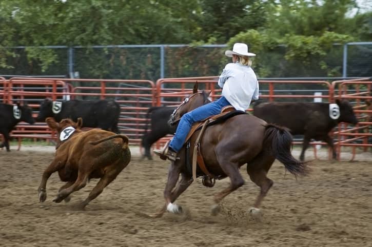 Clackamas County Fair and Rodeo near Canby Oregon